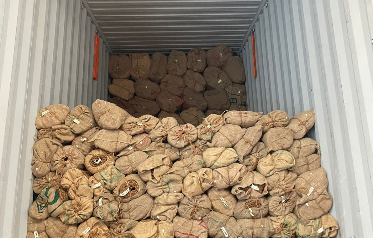 sabut kelapa bernilai ekspor